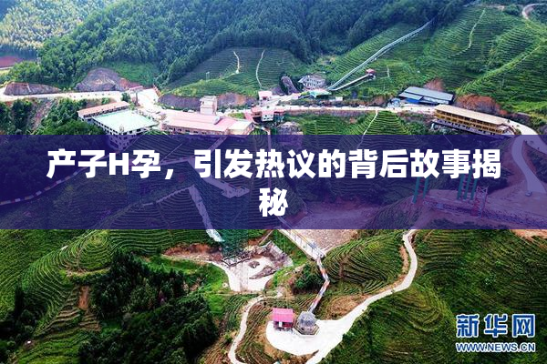 产子H孕，引发热议的背后故事揭秘