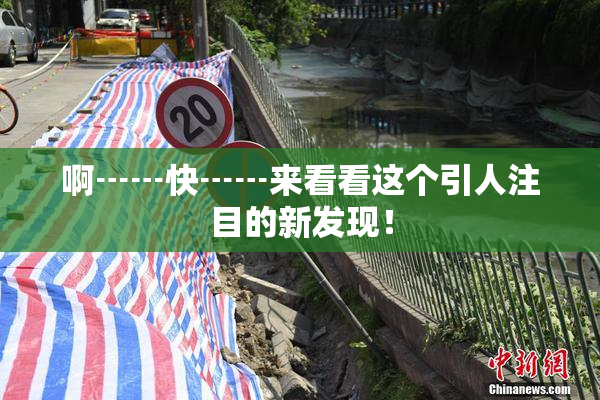 啊┅┅快┅┅来看看这个引人注目的新发现！