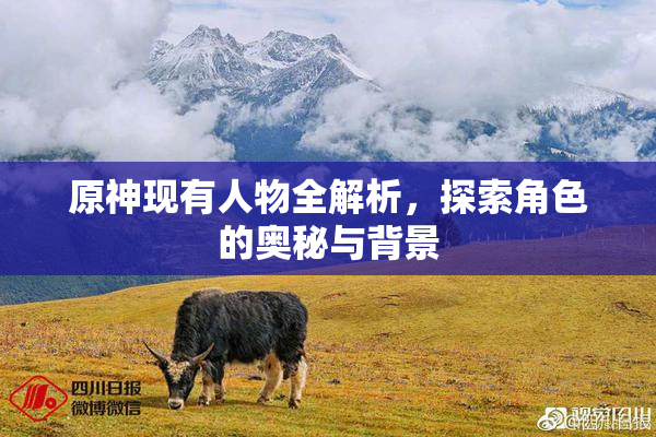 原神现有人物全解析，探索角色的奥秘与背景
