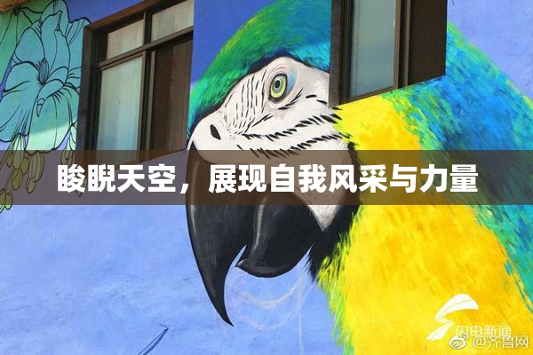 睃睨天空，展现自我风采与力量