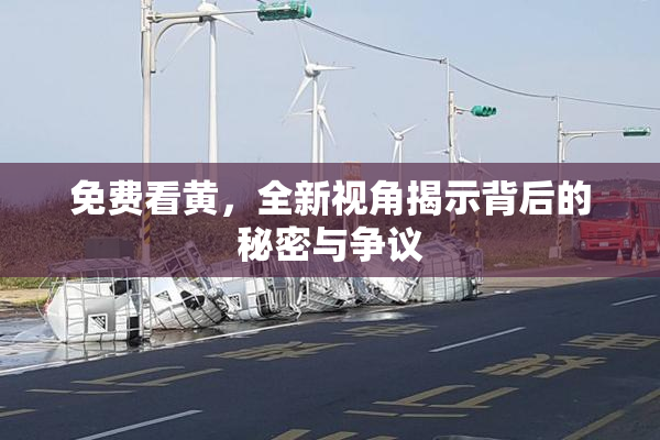 免费看黄，全新视角揭示背后的秘密与争议