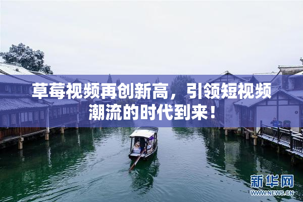 草莓视频再创新高，引领短视频潮流的时代到来！