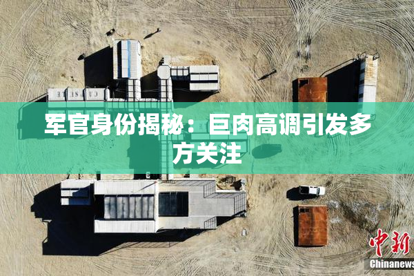 军官身份揭秘：巨肉高调引发多方关注