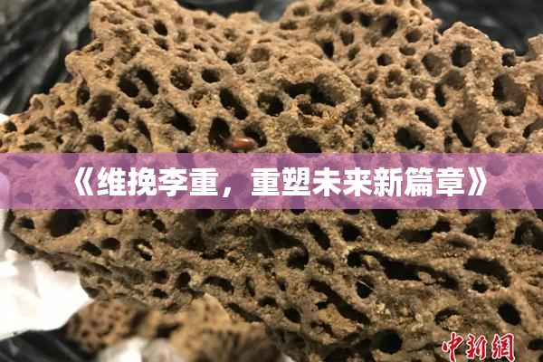 《维挽李重，重塑未来新篇章》