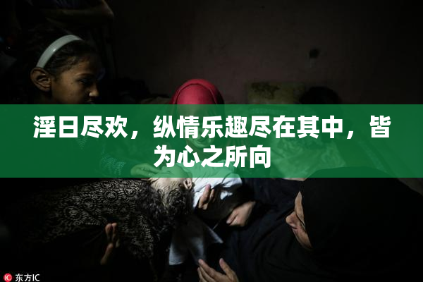 淫日尽欢，纵情乐趣尽在其中，皆为心之所向