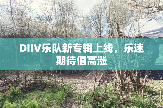 DIIV乐队新专辑上线，乐迷期待值高涨
