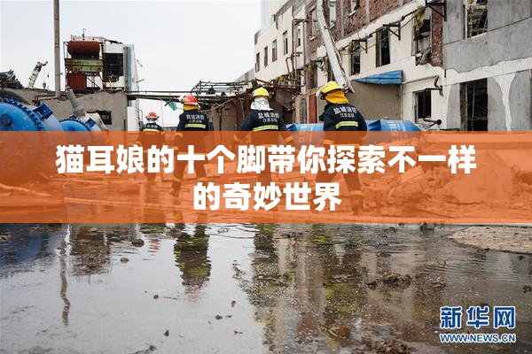 猫耳娘的十个脚带你探索不一样的奇妙世界