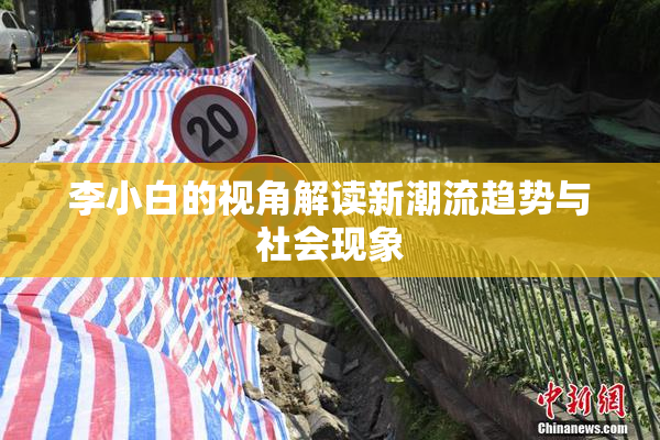 李小白的视角解读新潮流趋势与社会现象