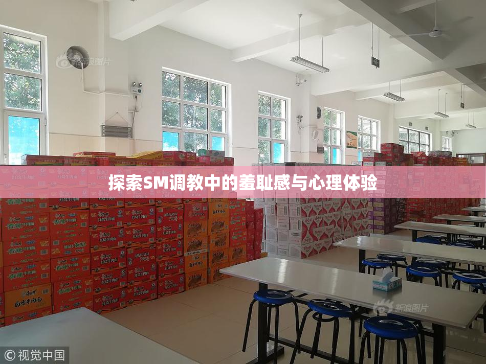 探索SM调教中的羞耻感与心理体验