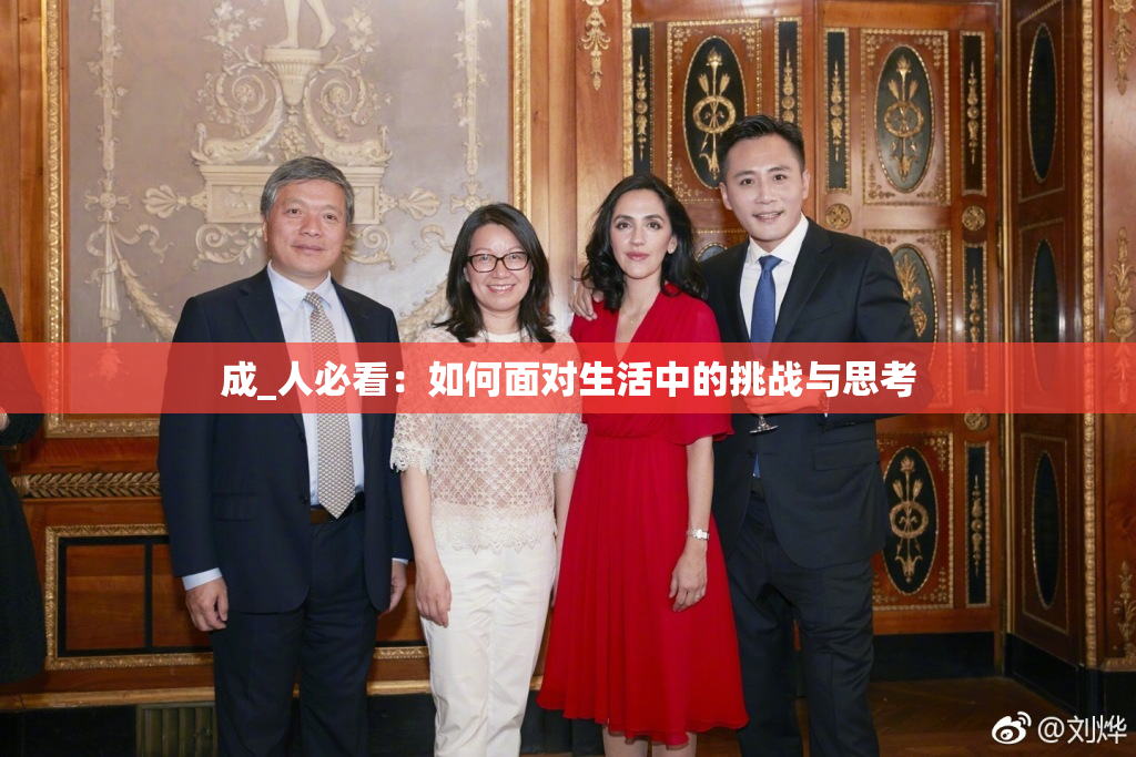成_人必看：如何面对生活中的挑战与思考