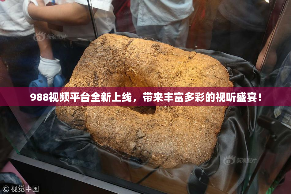 988视频平台全新上线，带来丰富多彩的视听盛宴！