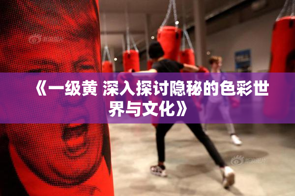 《一级黄 深入探讨隐秘的色彩世界与文化》
