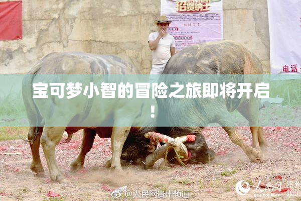 宝可梦小智的冒险之旅即将开启！