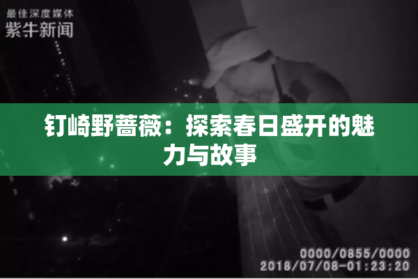 钉崎野蔷薇：探索春日盛开的魅力与故事