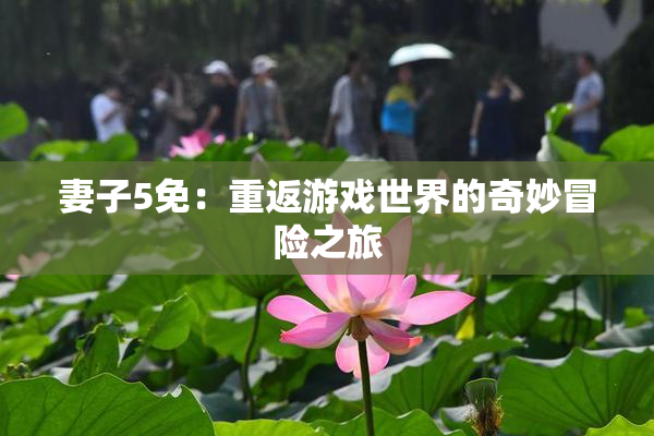 妻子5免：重返游戏世界的奇妙冒险之旅