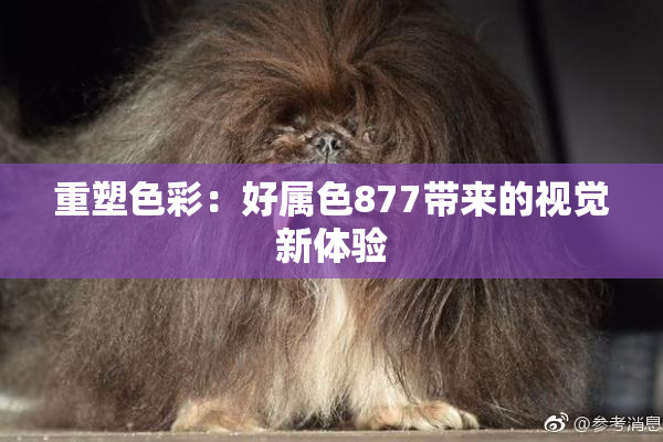 重塑色彩：好属色877带来的视觉新体验