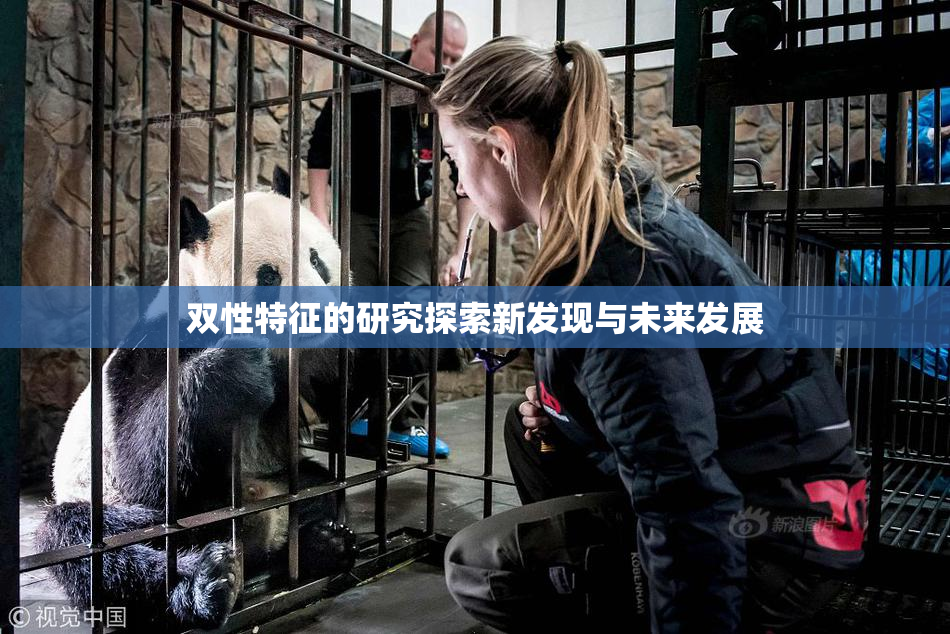 双性特征的研究探索新发现与未来发展