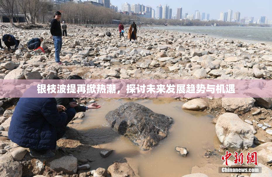 银枝波提再掀热潮，探讨未来发展趋势与机遇