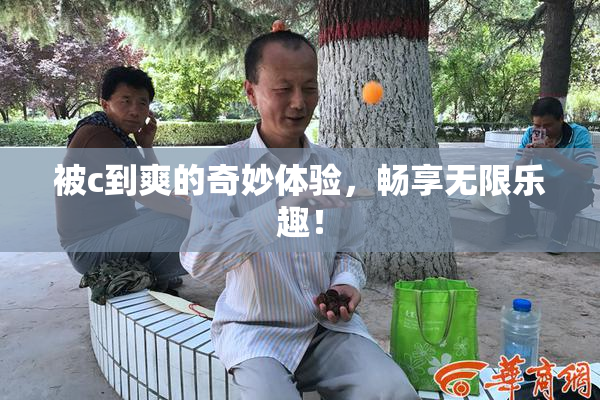 被c到爽的奇妙体验，畅享无限乐趣！