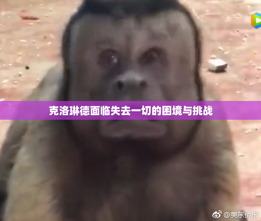 克洛琳德面临失去一切的困境与挑战