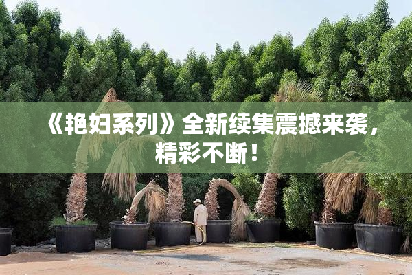 《艳妇系列》全新续集震撼来袭，精彩不断！