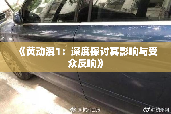 《黄动漫1：深度探讨其影响与受众反响》