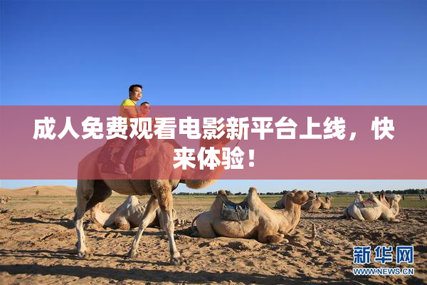 成人免费观看电影新平台上线，快来体验！
