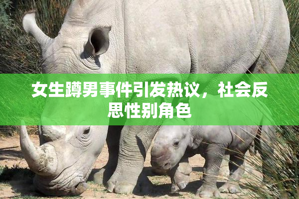 女生蹲男事件引发热议，社会反思性别角色