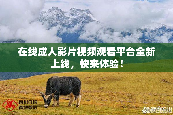 在线成人影片视频观看平台全新上线，快来体验！