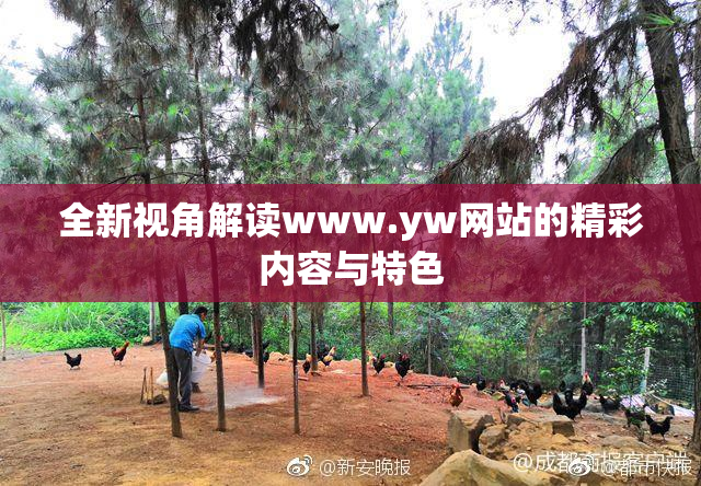 全新视角解读www.yw网站的精彩内容与特色