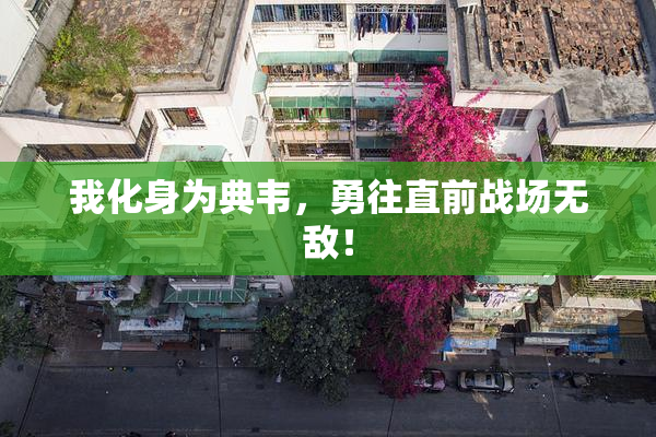 我化身为典韦，勇往直前战场无敌！