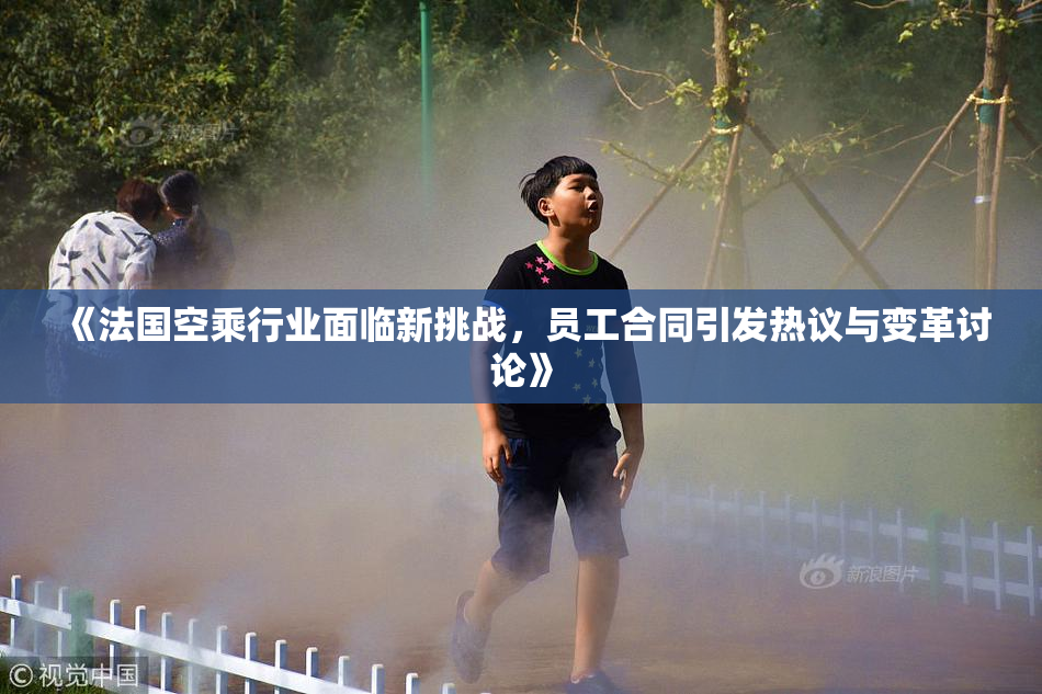 《法国空乘行业面临新挑战，员工合同引发热议与变革讨论》