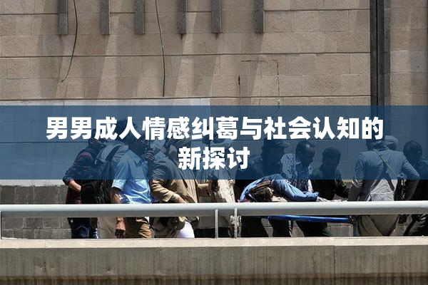 男男成人情感纠葛与社会认知的新探讨
