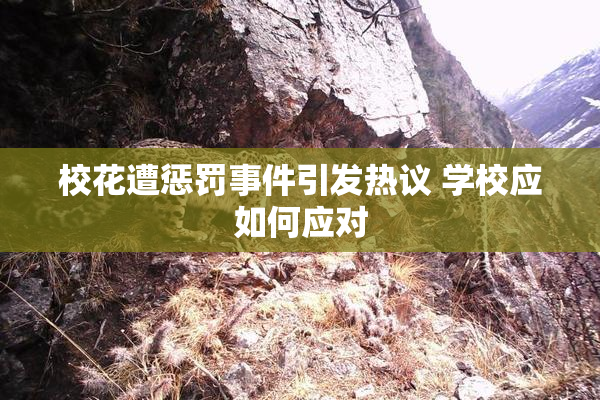 校花遭惩罚事件引发热议 学校应如何应对