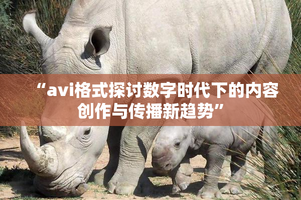 “avi格式探讨数字时代下的内容创作与传播新趋势”