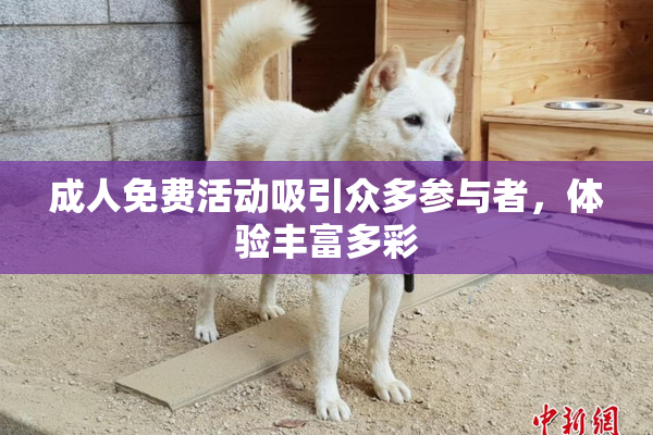 成人免费活动吸引众多参与者，体验丰富多彩
