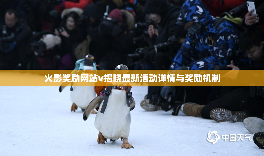 火影奖励网站v揭晓最新活动详情与奖励机制