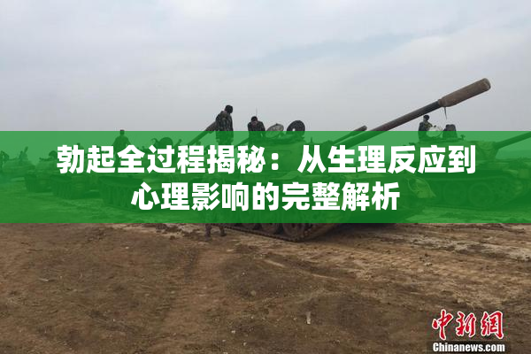 勃起全过程揭秘：从生理反应到心理影响的完整解析