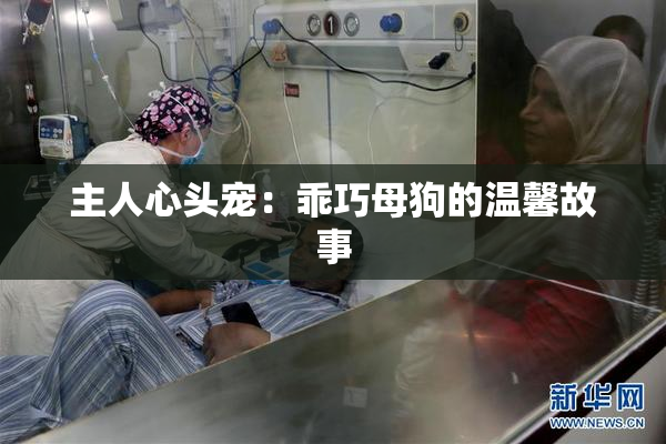 主人心头宠：乖巧母狗的温馨故事