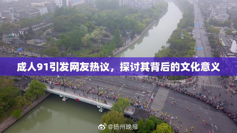 成人91引发网友热议，探讨其背后的文化意义