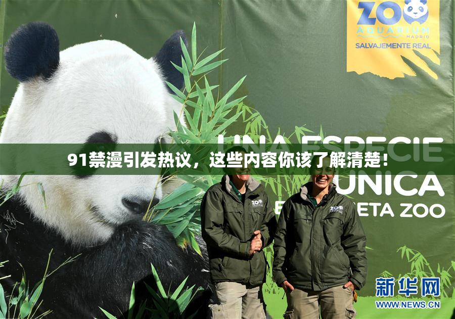 91禁漫引发热议，这些内容你该了解清楚！