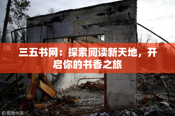 三五书网：探索阅读新天地，开启你的书香之旅