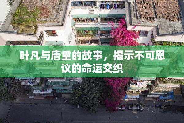 叶凡与唐重的故事，揭示不可思议的命运交织
