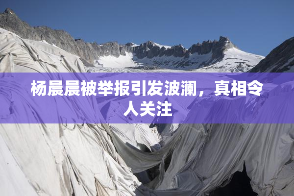 杨晨晨被举报引发波澜，真相令人关注