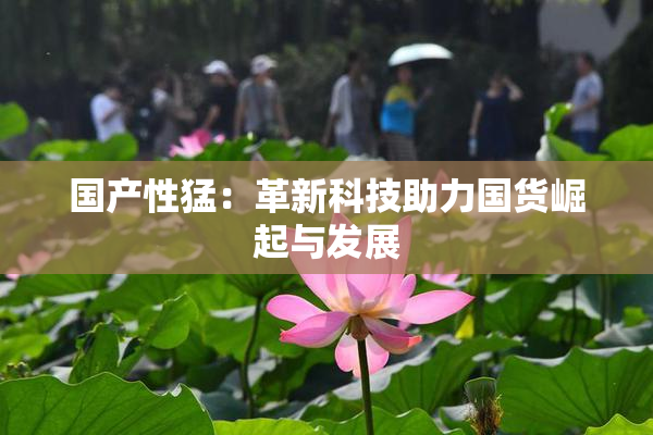 国产性猛：革新科技助力国货崛起与发展