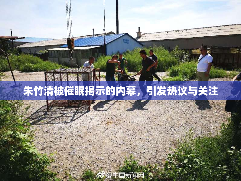朱竹清被催眠揭示的内幕，引发热议与关注