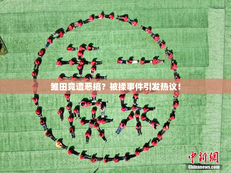雏田竟遭恶搞？被揉事件引发热议！