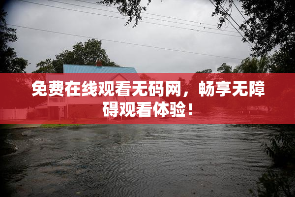 免费在线观看无码网，畅享无障碍观看体验！