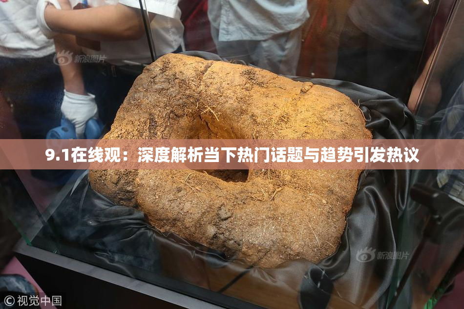 9.1在线观：深度解析当下热门话题与趋势引发热议