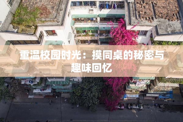 重温校园时光：摸同桌的秘密与趣味回忆